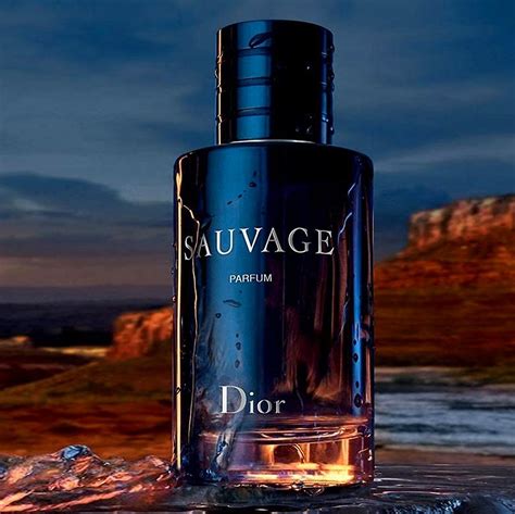 dior star dupe|dupe dior sauvage.